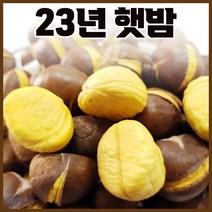 23년 햇 명품 국산 공주밤 1kg 출시 ( 칼집O/칼집X ), 명품 공주밤 1kg 칼집 O