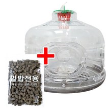 [낚시장터] 4구어항 떡밥세트 피래미 어포기 피래미어항 낚시어항 어린이낚시체험 통발 계곡낚시 낚시통발