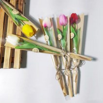 가더GADE 튤립꽃다발 한송이 1송이 졸업식 행사 기념일 축하 선물 유치원 어린이집, 8AB) WT