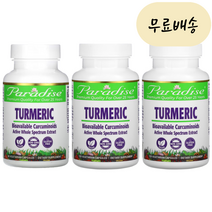 파라다이스 허브 터메릭 250500mg 60 90 120캡슐 강황뿌리 Tumeric, 터메릭 250mg 60캡슐, 1개, 60개