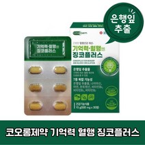 코오롱제약 기억력 혈행 엔 징코플러스 은행잎추출물 복합기능성 식약처 1개월분 15g, 30정×2개