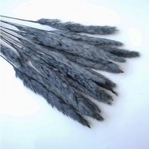 팜파스 억새풀 핑크뮬리 대형 그라스 갈대 인테리어소품 조화 꽃 자연 말린 다발 웨딩 장식 15pcs 리드 밀 귀 토끼 꼬리 잔디 크리스마스 파티 홈 장식 73, 다크 그레이15개, 씨엔