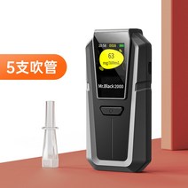 음주 측정기 단속 알코올 농도 감지기 테스트 여름 휴대용 송풍 경찰용, A type 5