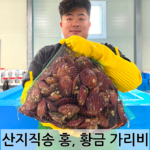 [멍게산지] 산지직송 통영 생굴 밥도둑 김장 굴무침 500g