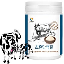 초유 농축유청 식물성 저분자 발효 단백질 유산균 운동 전 후 체중증량 식사대용 단백질 쉐이크 프로틴 근육 보충제 230g, 1개