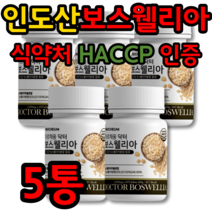 보스웰리아 인도산 추출물 식약처 식약청 인증 제품 추천 무릎 무릅 연골 뼈 관절 건강 시큰 초록 잎 홍합 정 보수엘리아 보수웰리아 캡슐 보스월리아 보스윌리아 덩어리 원물 5통