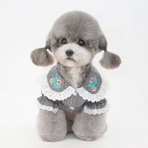 강아지 셔츠 봄 옷 애견 레이스 플라워 카라 블라우스, 블랙