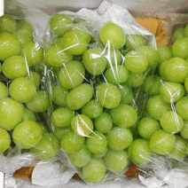황금열매 고급 망고포도 샤인머스켓 씨없는 청포도 2KG 4KG 3-5수, 샤인머스켓 2kg (2-3수)