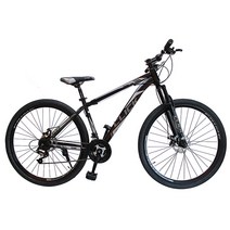 비로티스자전거 가격비교 구매