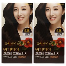 댕기머리 포르테 한방칼라크림 동백유 함유 한방 염색약 2개, 진한갈색, 2개+마술패치2매