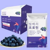빌베리 프로틴 아침식사 한끼대용 분리유청 고단백질 보충제 쉐이크 안토시아닌 BCAA, 60포 2개월분
