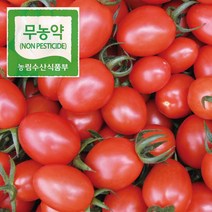 무농약 대추방울토마토 스마트팜 재배 2kg, 5kg
