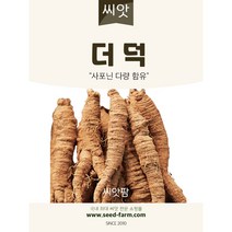 더덕씨앗(1500립)