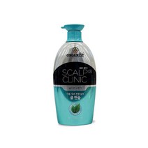 스칼프 쿨멘솔샴푸 750ml 27961125EA, 양우석 나누야 1, 양우석 나누야 본상품선택