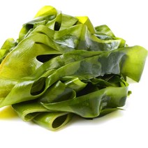 남해안 생 다시마 1kg 쌈다시마 꼬시래기 다시마육수 채무침