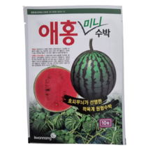 애홍미니수박 씨앗 10립 호피무늬가 선명한 적육계 애플수박 권농종묘