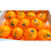 고당도 제주 프리미엄 천혜향 가정용 선물용 세트 3kg 5kg 10kg, 선물용 대과 5kg