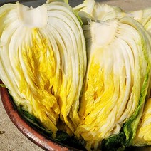 강원도 고랭지 김장 절임배추 20kg 10kg(충주 공장 발송) 날짜 지정 가능 절인배추 저린 김장 배추, 1월28일 도착