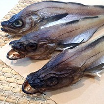 (푸드) 자연해동 반건조 손질 코다리 찜 조림 손질 명태, 코다리 1마리, 코다리 1마리