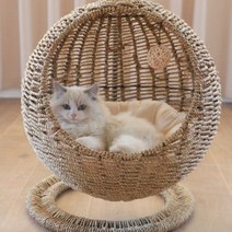 고양이창틀해먹 투명 고양이 창문 해먹 행거 펫 캣츠 홈 원형 반밀폐식 오픈 케어 펫 행거, 01 XS-초소형, 05 M17-적용1-20근 속 매트리스【추천】