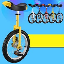 18인치 입문용 외발자전거 초보용 수입 외발 자전거, 16 20 24 인치 상품 문의주세요