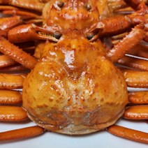 연지홍게 포항 구룡포 홍게 자숙 프리미엄 2.5kg, 상세페이지 참조, 본상품선택