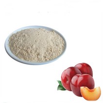 자두농축분말 100g 샘플, 단품, 단품