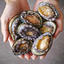 손질 편한 완도 활 전복 회 제철 1kg 7미부터 80미까지 내장 물회 죽 대 특대 선물 당일 채취, 1kg 40-50미