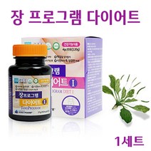 장 프로그램 다이어트 실크 피브로인 펩타이드 누에고치 가르시니아 HCA 차전자피 식이섬유 알로에전잎 녹차 카테킨 유산균 뱃살 체지방 쾌변 건강기능식품 효능 추천, 1세트
