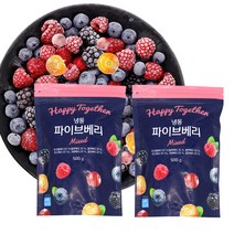 냉동 파이브베리500g 1+1 믹스베리, 2, 500g