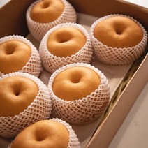 과일꾼 산지직송 나주배 햇배 가정용 3kg/5kg, 03.23년 나주햇배 가정용 5kg 8-9과