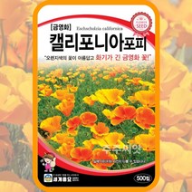 금영화 꽃 씨앗 500립 캘리포니아포피 종자 꽃씨몰 봄 여름 가을 홈가드닝 꽃양귀비, 단품