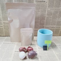 튤립 구근 원예종 추식 튤립 키우기 화분세트, 원형 화분 (연베이스 스팟), 선택10) 퀸즈 랜드 (4구)