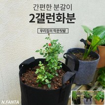 부직포 화분 식물 고구마 키우기 2갤런 20x20 블루베리 감자 고구마 모종 키우기 베란다 텃밭 흙 담기 화분, 2화분2갤런-그레이