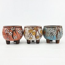 중형 다육이 화분 13번 3종 세트