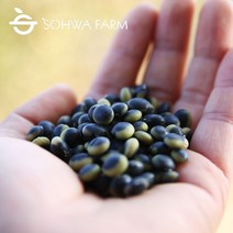 2022년 국산 선비콩 1kg 정승콩