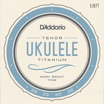 공식수입정품<br />Daddario – Pro Arte Titanium Tenor / 테너 우쿨렐레 스트링 (EJ87T)” class=”wr-img”></a></div>
</div>
</div>
</div>
<div class=