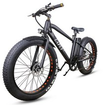 전기자전거 lafly 전기 1000w4.0 지방 타이어 전기 자전거 비치 크루저 자전거 부스터 자전거 48v17ah 리튬 배터리 남성 여성 ebike, 검은색, 250w 모터, 17ah 배터리