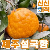 제주 고당도 설국향 수라향 신비향 신품종 아스미 3kg 5kg, 설국향 10kg(45-60과) [특가]