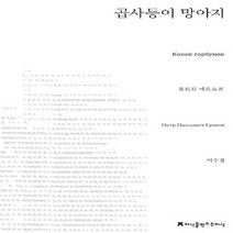 NSB9788966807680 새책-스테이책터 [곱사등이 망아지] --지만지(지식을만드는지식) 소설선집-지만지(지식을만드는지식)-표트르 파블로비치 에르쇼, 곱사등이 망아지
