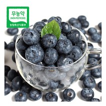 [푸르젠] 순창직송! 무농약 급냉 블루베리 2kg(500g 4봉)/상품/13mm~18mm이, 상세 설명 참조, 상세 설명 참조