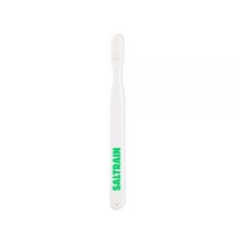 [베스트모음] 솔트레인 칫솔 15g (1개) 203571, WG
