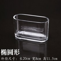 꽃화병 유리 어항 수경 식물 직사각형 책상 조경 수족관 인테리어 소품, 8X20 타원형 실린더