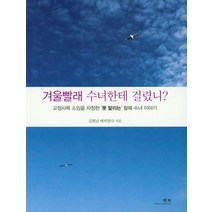 겨울빨래 수녀한테 걸렸니?:교정사목 소임을 자청한 '못 말리는' 왈패 수녀 이야기, 예지