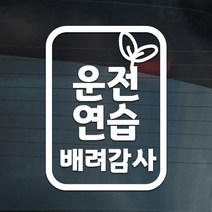 더굿데이 도로연수 주행연습 운전연습 차량 스티커 15종, 05-9 일반화이트_도로 주행스티커