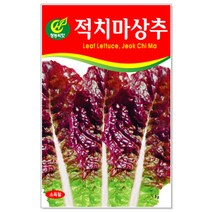 적치마상추 3000립