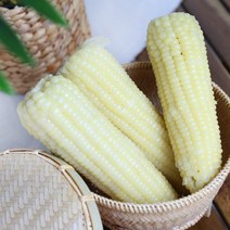 장보고옥수수 미백찰 25개 무첨가 찐삶은 냉동찰옥수수