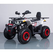 ATV 200/UTV/사륜오토바이/제설용 ATV/농업용 ATV/사발이, 화이트