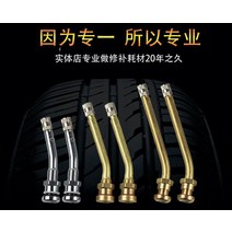 - 자동차 타이어 에어밸브 캡 휠 공기 주입구 마개 대형버스 진공타이어 대차 알루미늄 바퀴바퀴 테두리 씹기