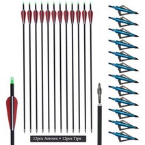 다트 양궁 탄소 화살 교체 화살표 머리 활 화합물, 12 Red A 12 BT